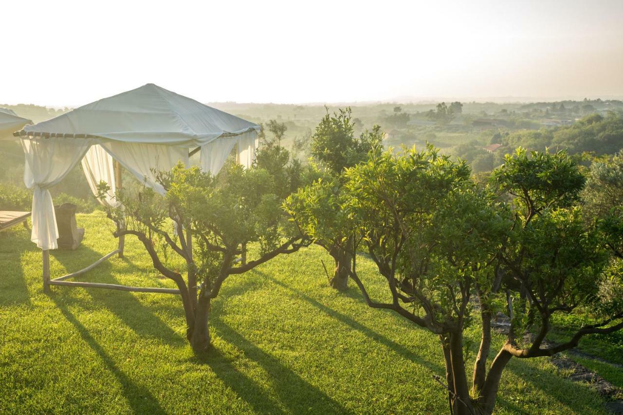 Monaci Delle Terre Nere Hotel Zafferana Etnea Eksteriør billede