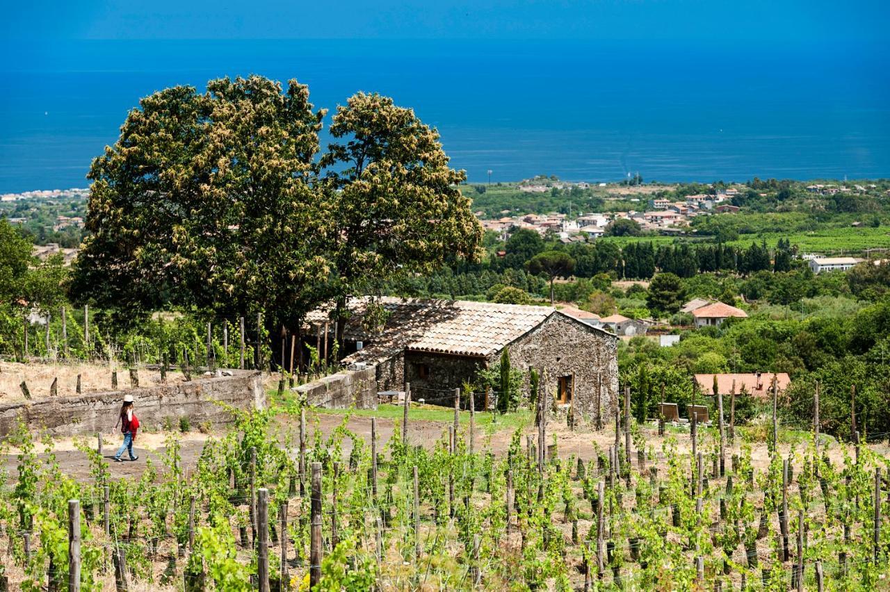 Monaci Delle Terre Nere Hotel Zafferana Etnea Eksteriør billede
